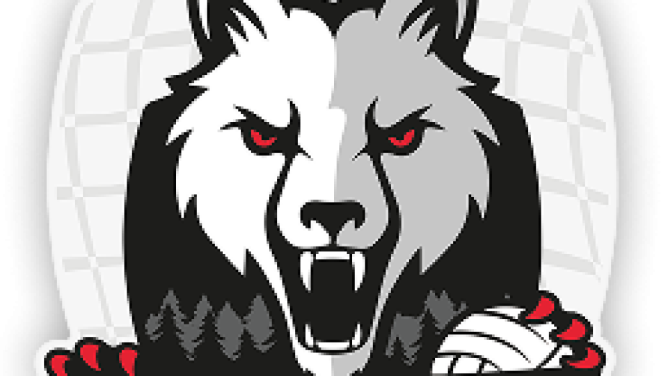 Lourdes sanctions sportives et structurelles à l'encontre du Saint-Dié Volley-ball