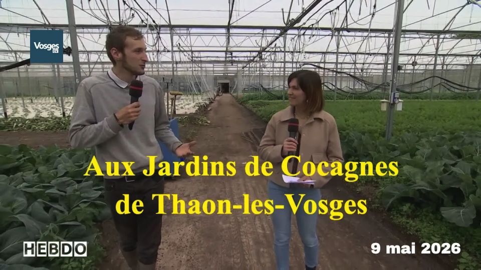 L'hebdo : aux Jardins de Cocagnes de Thaon-les-Vosges