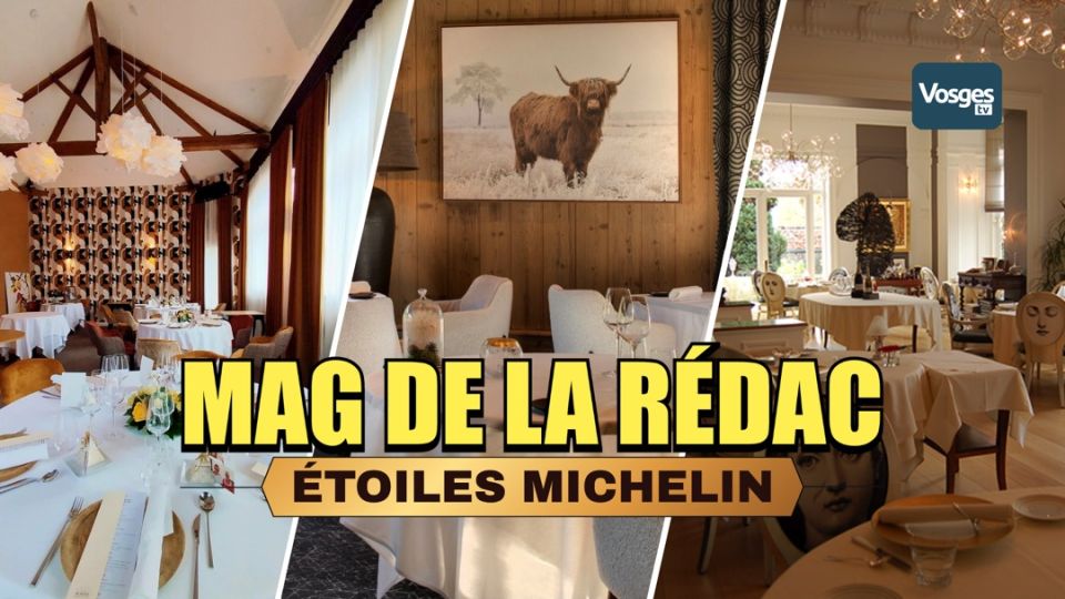Mag de la rédac : Étoiles Michelin