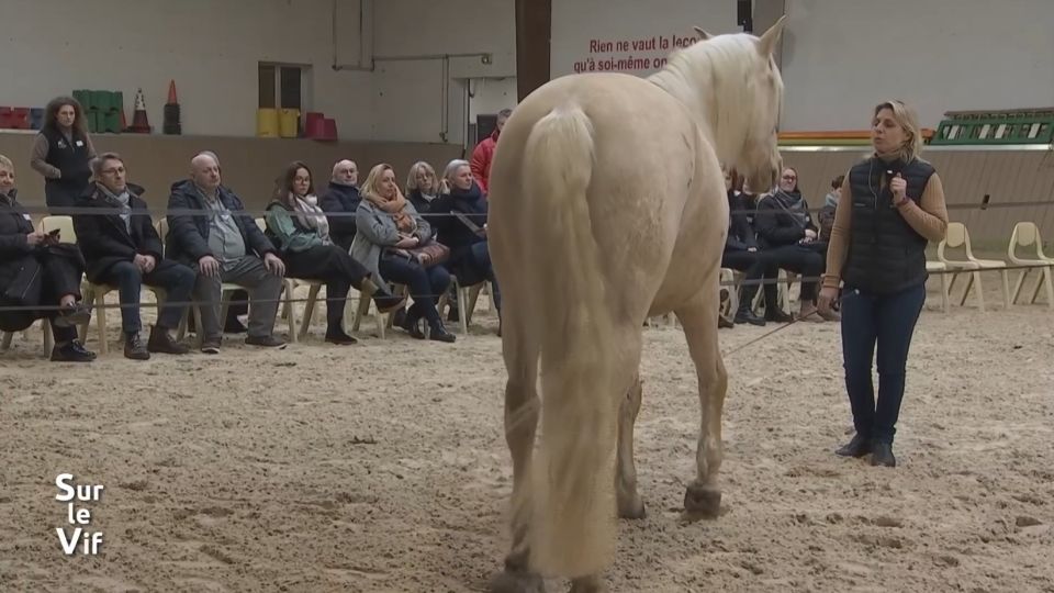 Sur le vif du 5 mars