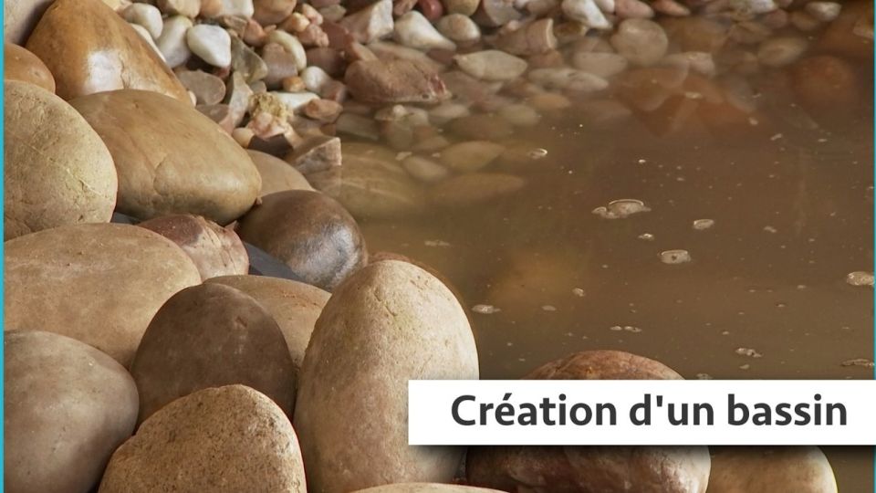 Atelier du jardin : Création d'un bassin