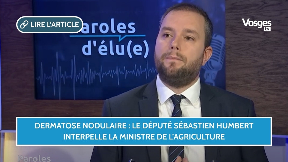Dermatose nodulaire : le député Sébastien Humbert interpelle la ministre de l’Agriculture