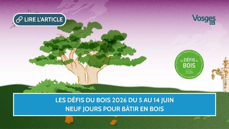 Les Défis du Bois 2026 du 5 au 14 juin, neuf jours pour bâtir en bois