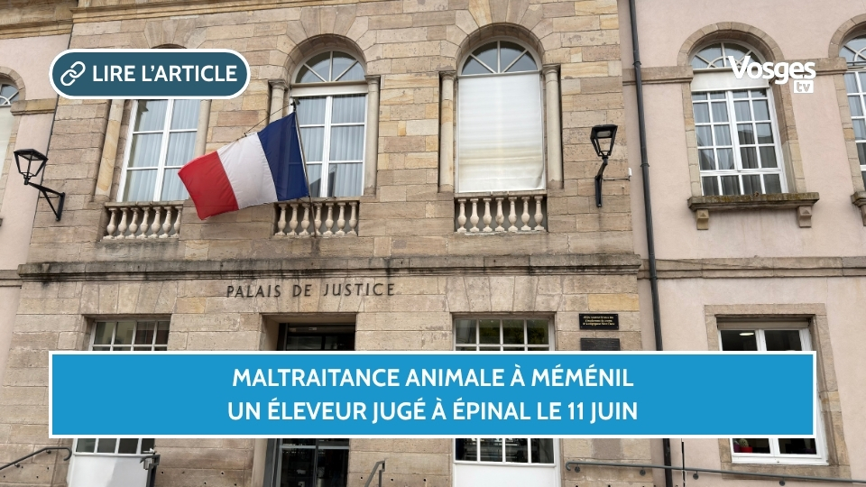 Maltraitance animale à Méménil : un éleveur jugé à Épinal le 11 juin