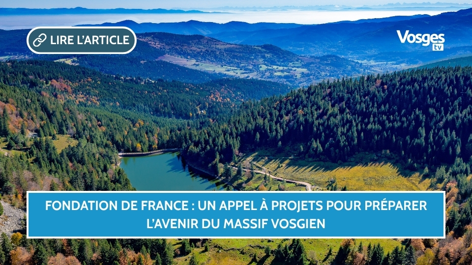 Fondation de France : un appel à projets pour préparer l’avenir du massif vosgien