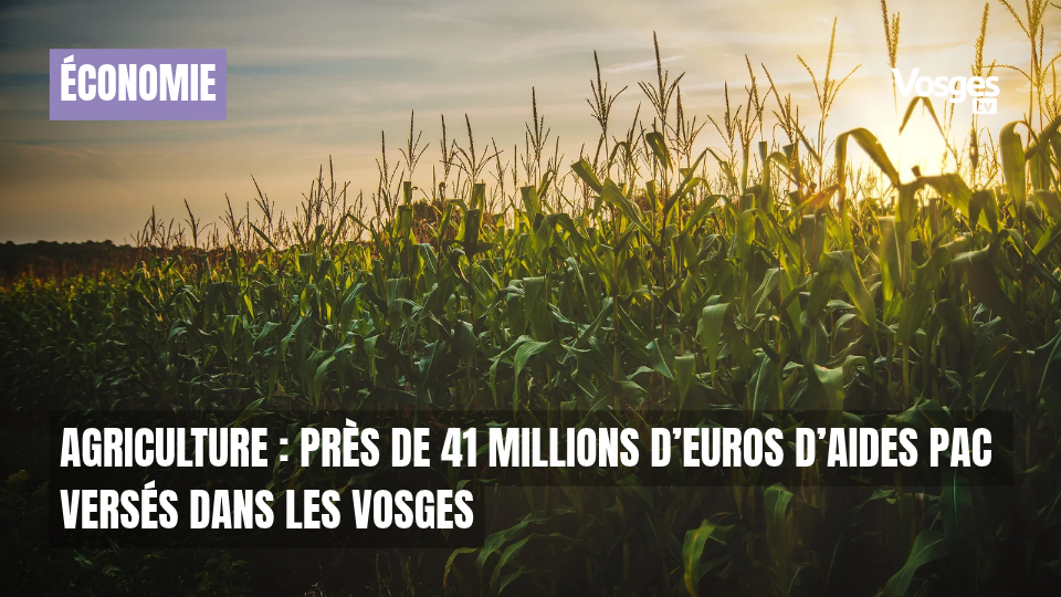 Agriculture : près de 41 millions d’euros d’aides PAC versés dans les Vosges