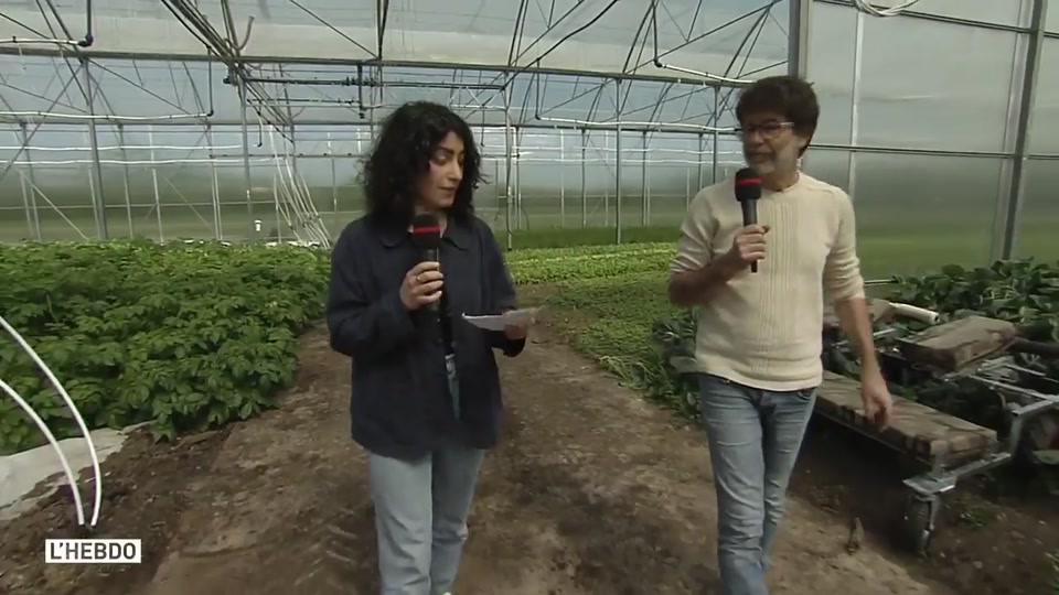 L'hebdo aux jardins de Cocagne