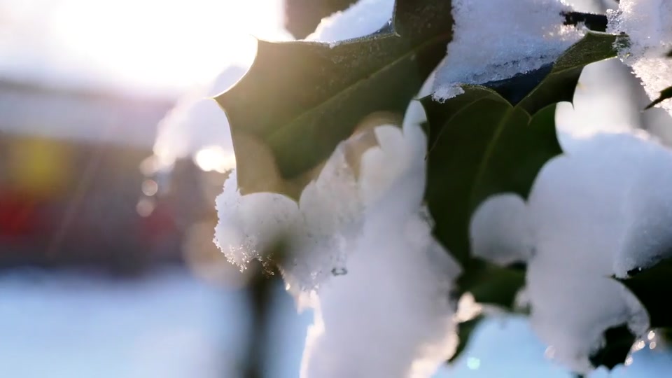 Documentaire : Transmettre de Jérôme Zindy et Marie Balthazard